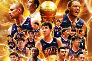 案例分析 案例分析