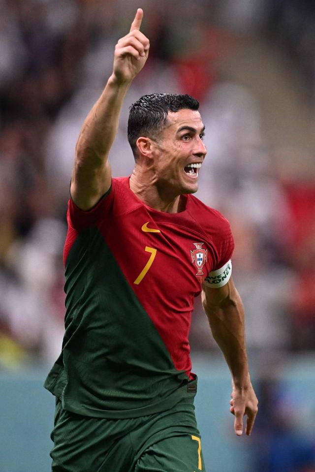 的合理比例 的合理比例