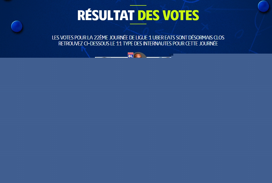 专业团队的 专业团队的